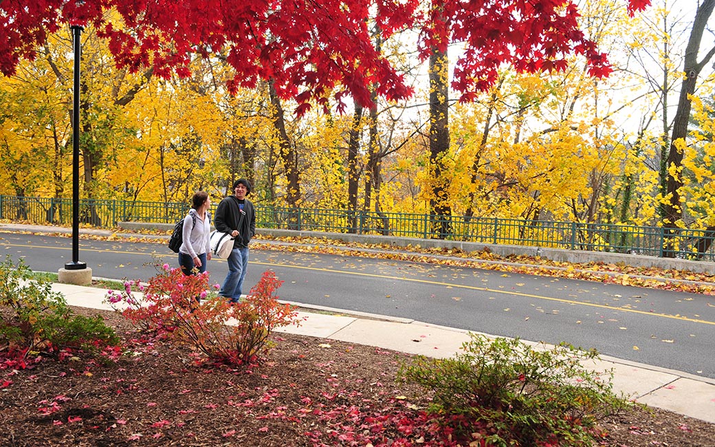 Return to TU Fall 2020 Planning Towson University