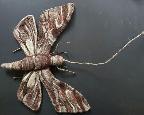 studnet sculptural artwork large moth form wrapped in fiber, yarn