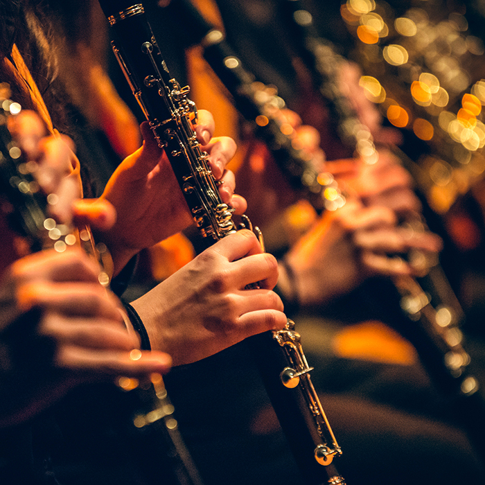 Close up on woodwind instumentalists