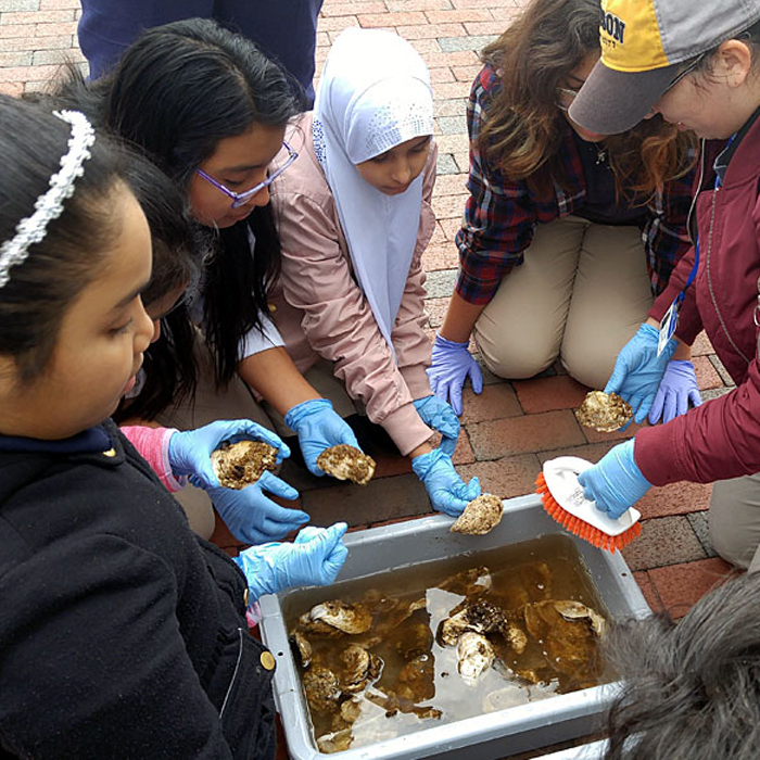 altimore City school students viewing oysters at the harbor