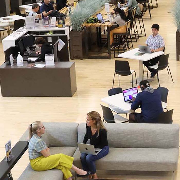 individuals sitting at desks and working in shared space working modules