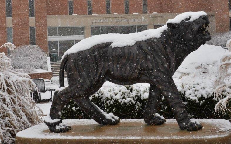 Snowy tiger statue
