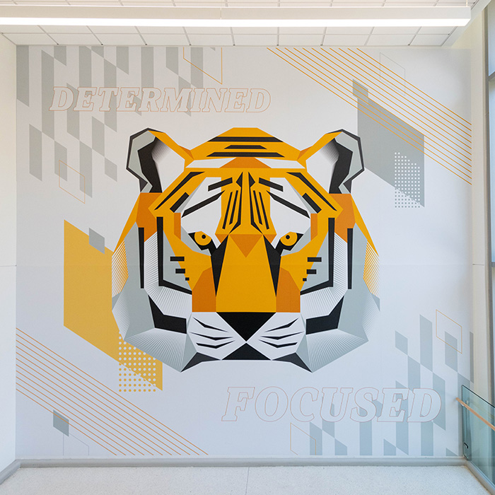 TU Tiger mural