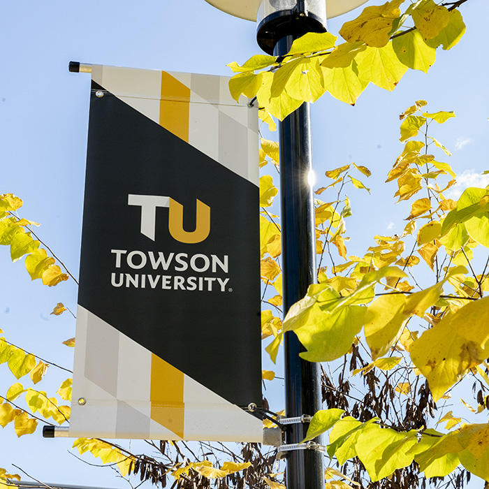 TU tigertooth pattern on a banner