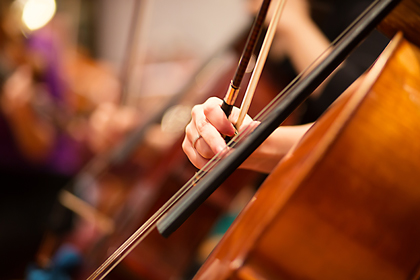 The bow of a cello hovers over the strings, ready to start playing