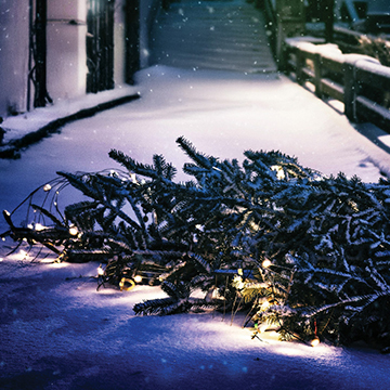 An abandoned Christmas tree lays on its side, collecting falling snow, in a dark alley