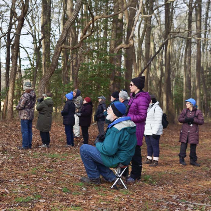 Group of people out in the woods