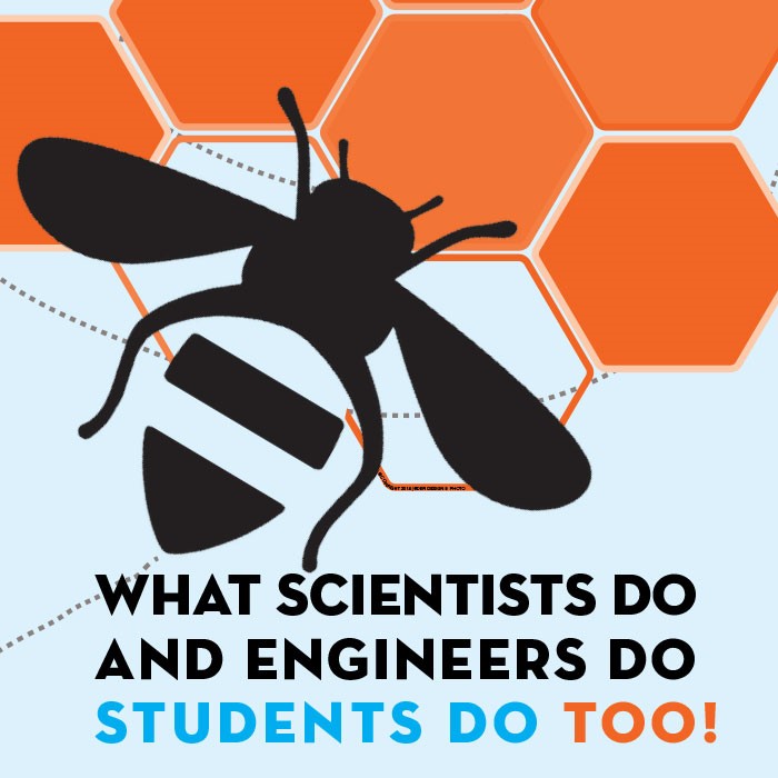 NGSS Bee Poster: What Scientists and Engineers Do, Students Do Too!