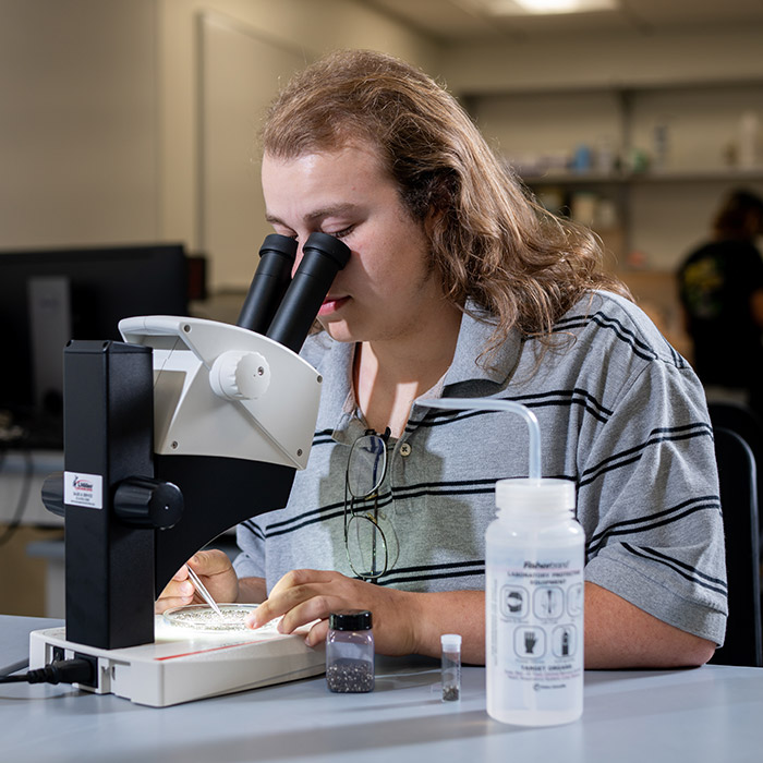 Simon Buccholz studying volcanic samples from the seafloor