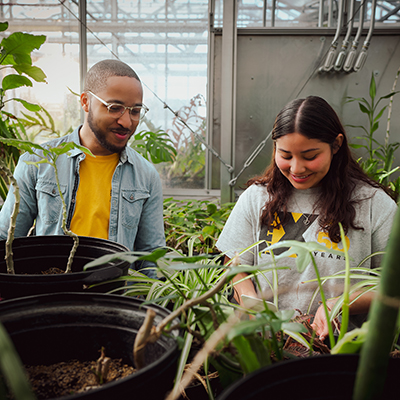 TU students working in a green house