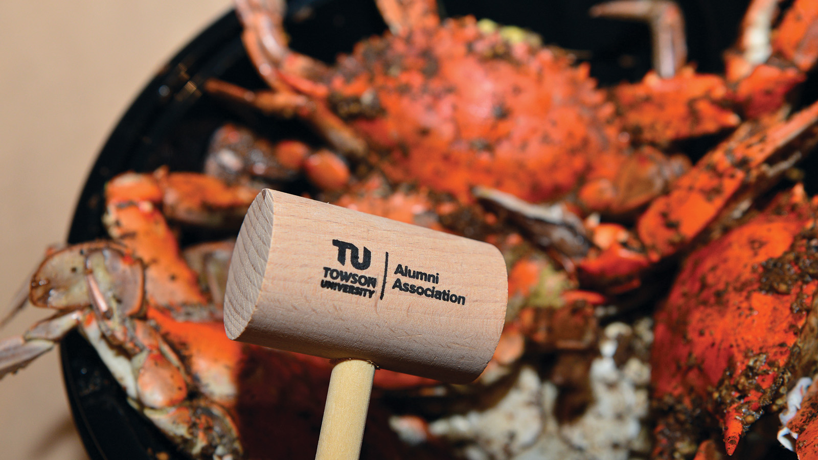 alumni association crab mallot