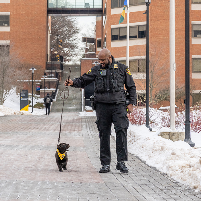 bruno walking with his handler