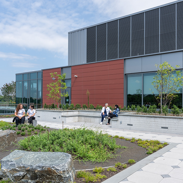 Students enjoying the rooftop garden on the College of Health Profession's building