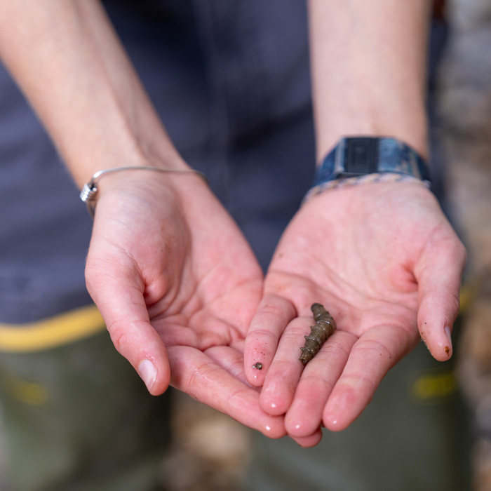 Delaney Mezan holding a crawfish 