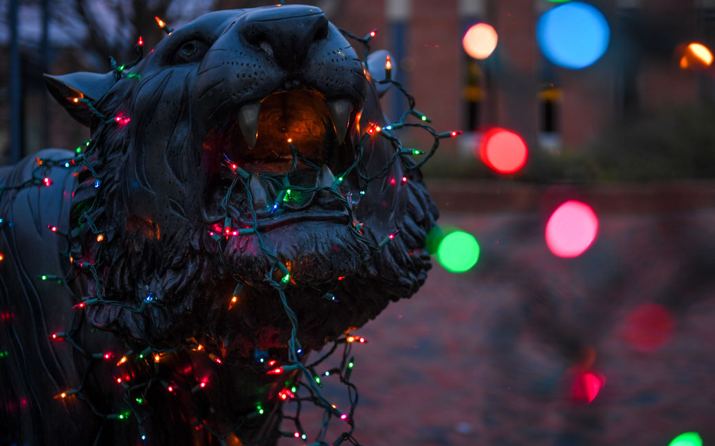 Tiger statue with holiday lights