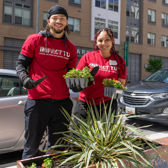 TU students planting plants in the Towson community for Impact TU