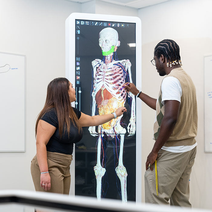 Two students working in the virtual body lab