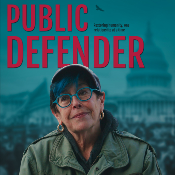 public defender movie poster