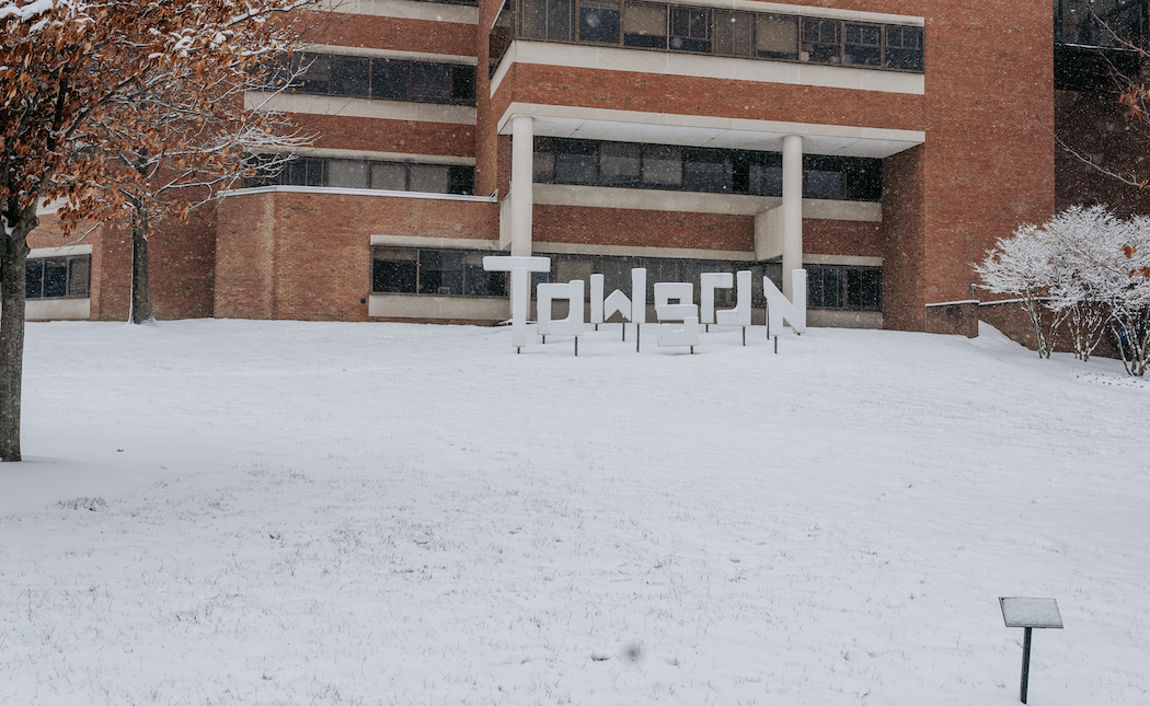 towson art snow