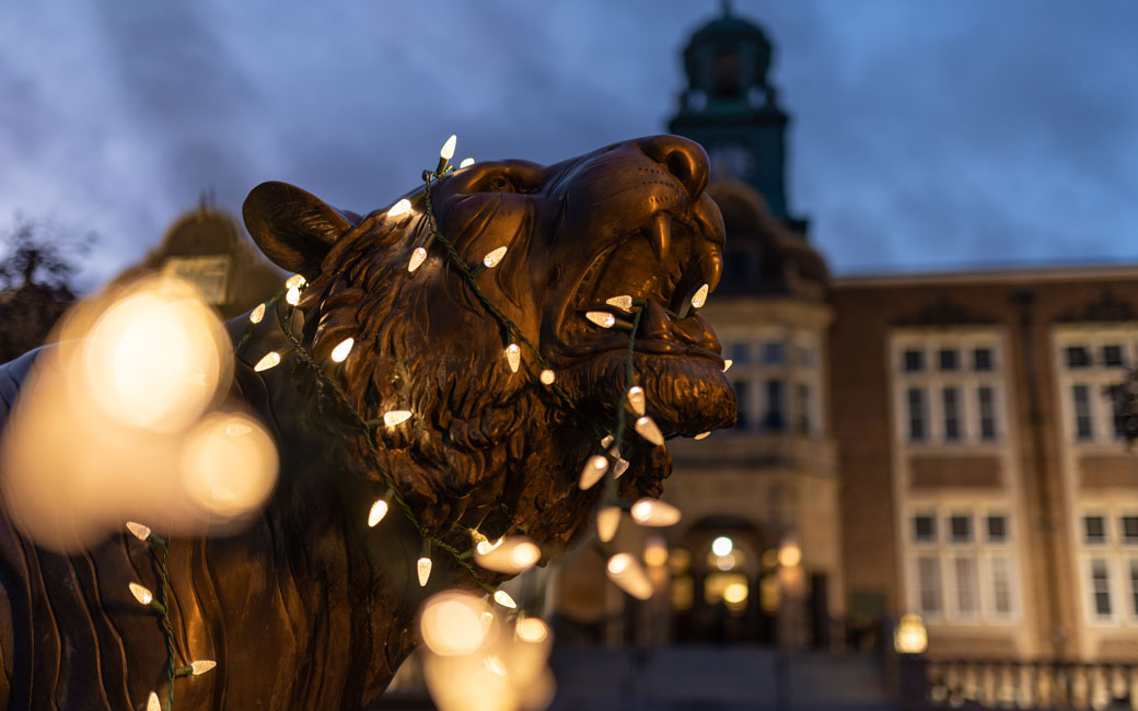 The Tiger Statue in front of Stephens Hall covered in lights