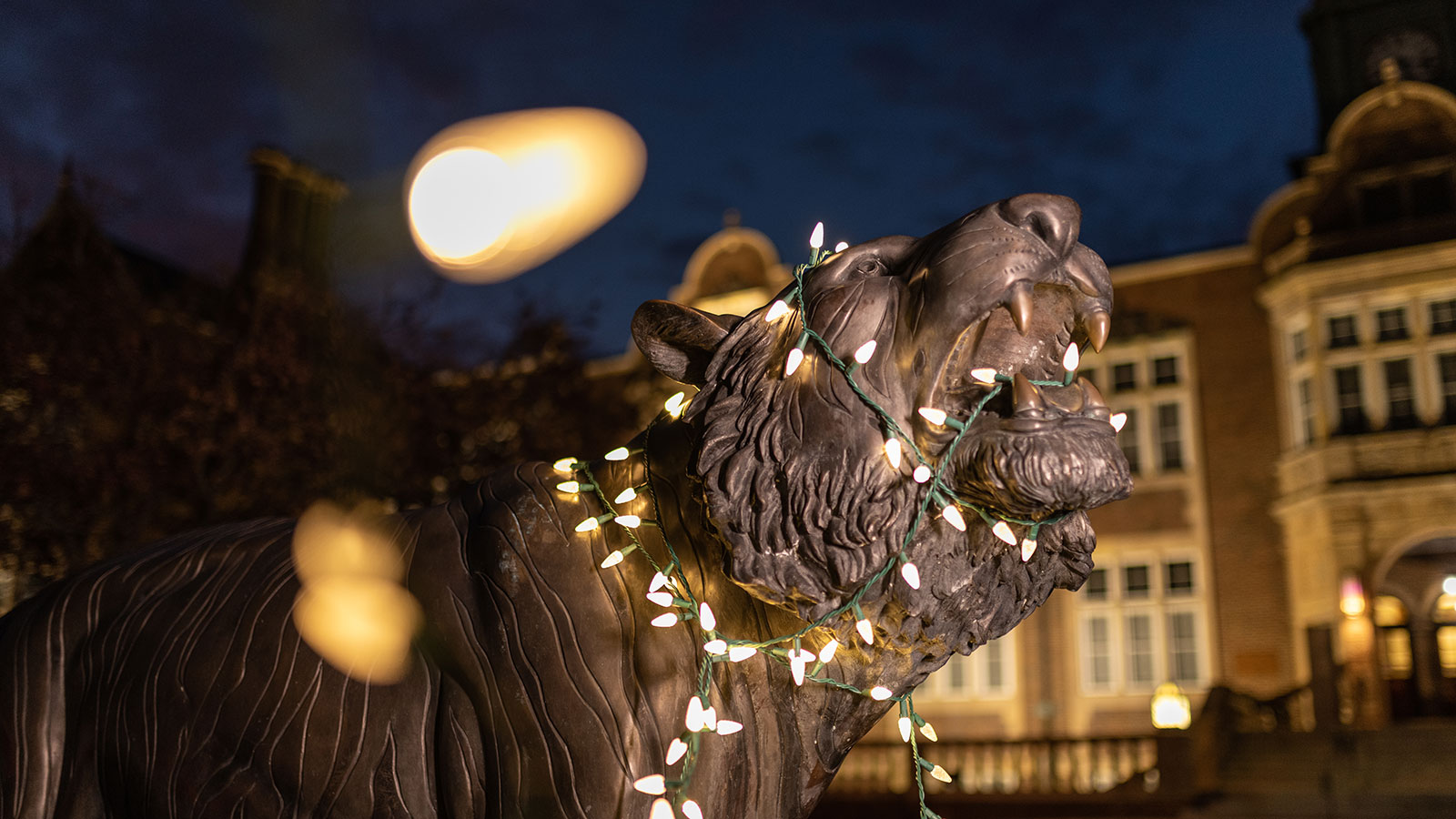 Tiger Statue with lights wrapped around it