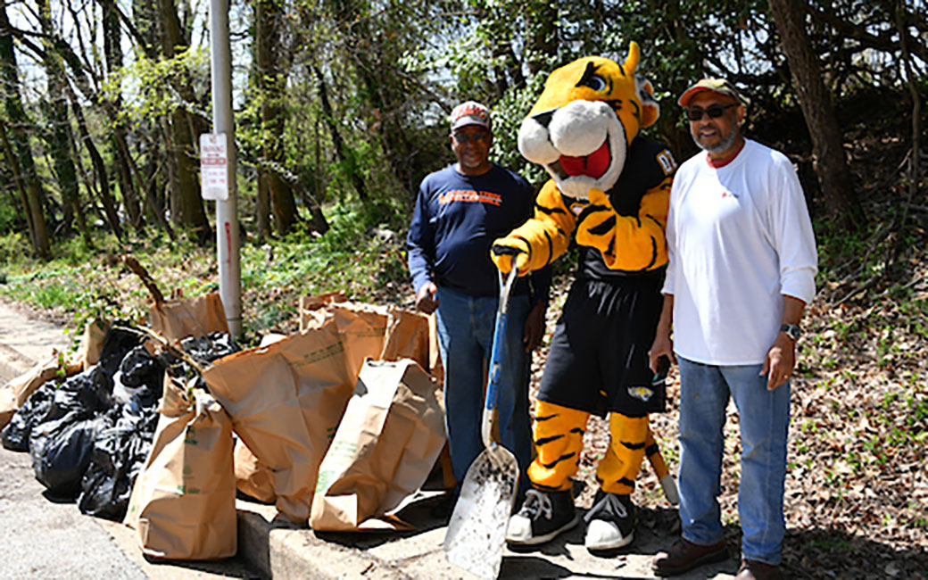 Doc the Tiger and two Towson community members remove invasive species. 