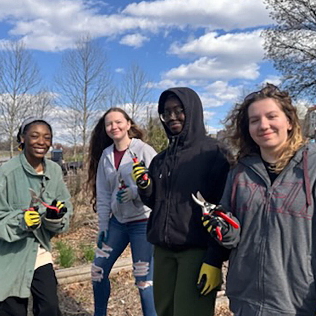 Social Action Collaboratory