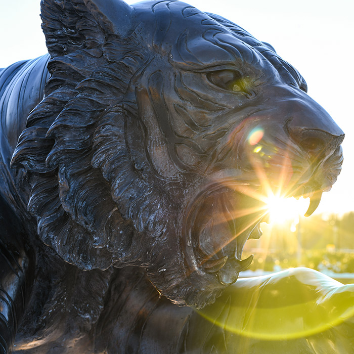 Towson Tiger Statue