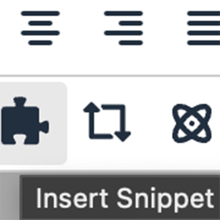 Screenshot the the icon for the snippet library on Modern Campus CMS