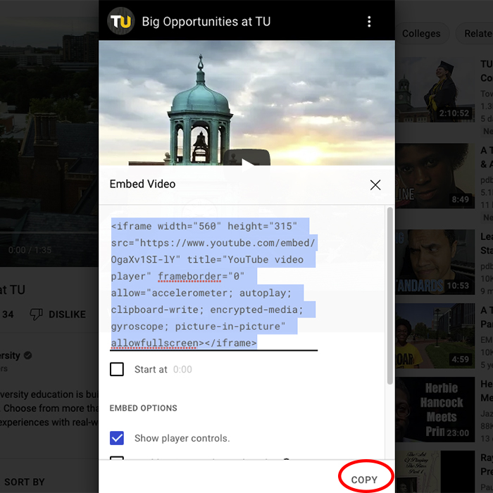 Screen shot of the YouTube embed video modal window