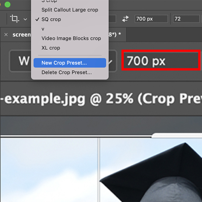 Screenshot of the “new crop preset” drop down menu. 